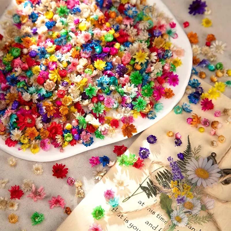 Mixed Colorful Flower for Wax  - đánh giá và giá Candle Supplies Bulk