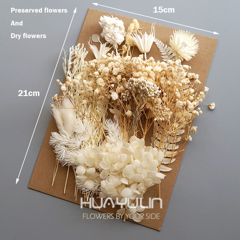 1 Pack Artificial Plants Dried - đánh giá và giá Candle Supplies Kit